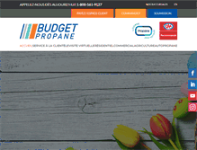 Tablet Screenshot of budgetpropane.com